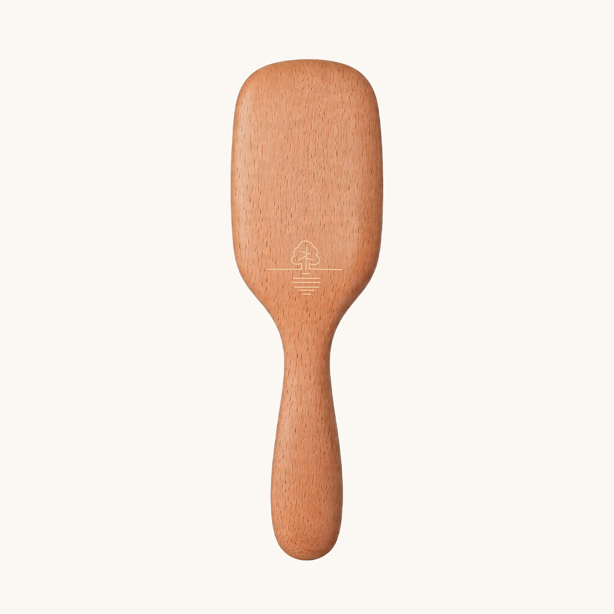 Brosse en poils de hêtre Brosse en poils de hêtre